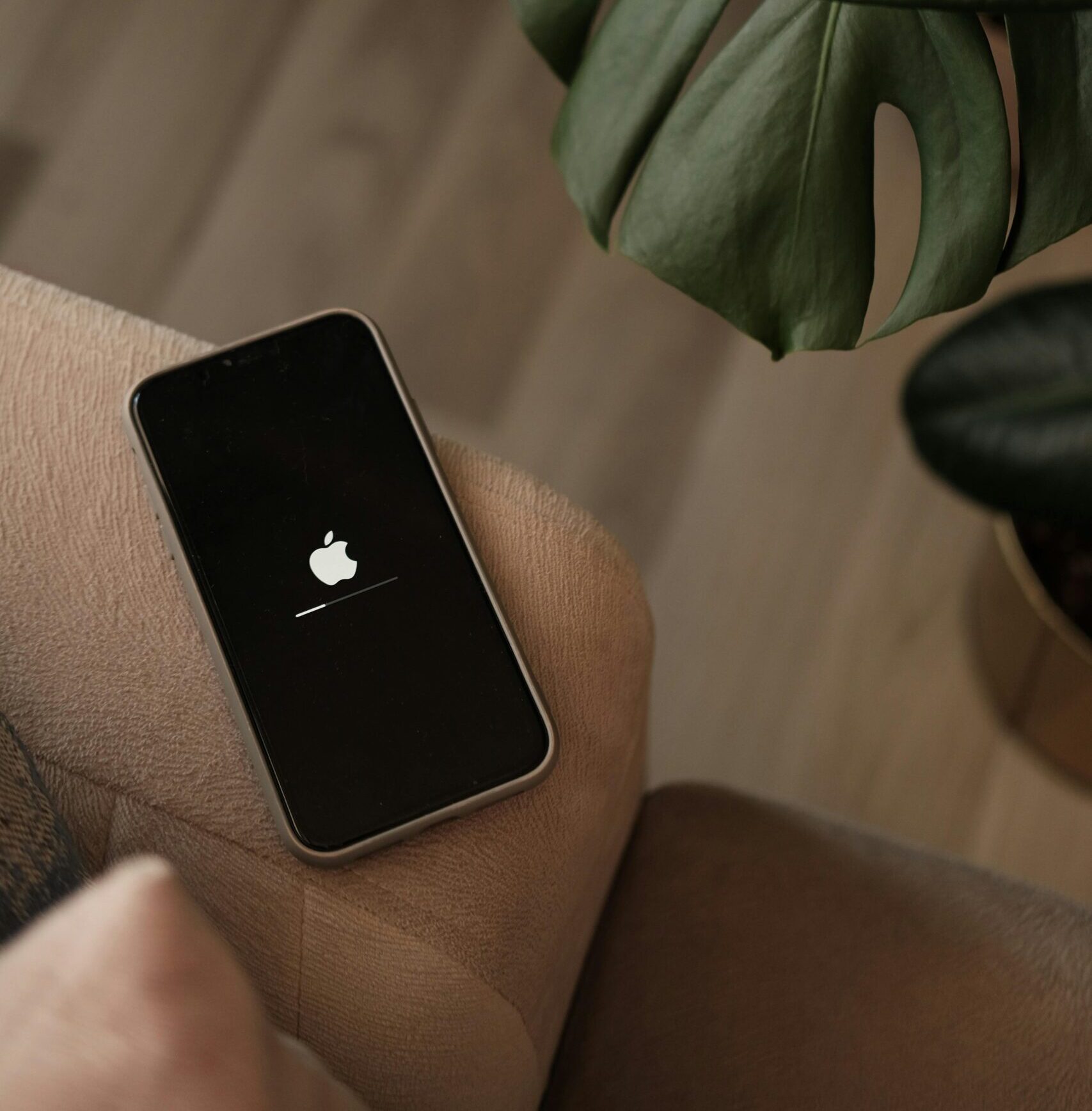 A smartphone with an Apple logo rebooting near a large green leaf indoors.